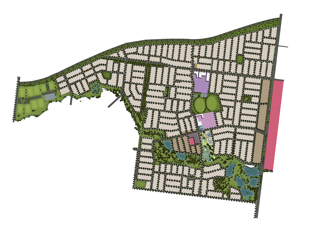 Mesh Development Planning