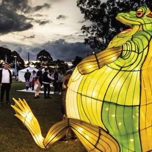 Mesh - Banyule Public Realm Framework