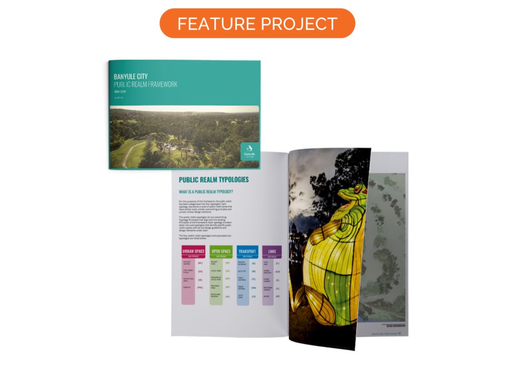 Feature Projects – Mesh Planning