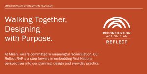 Mesh Reconciliation Action Plan RAP