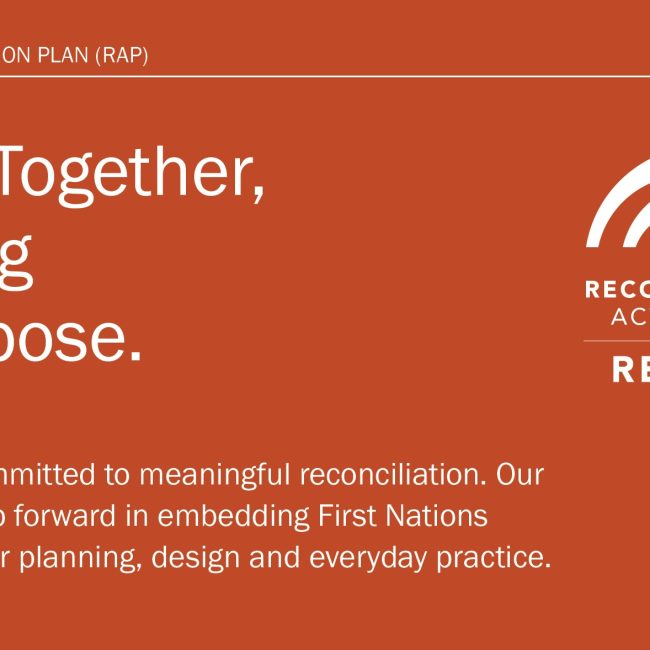 Mesh Reconciliation Action Plan RAP